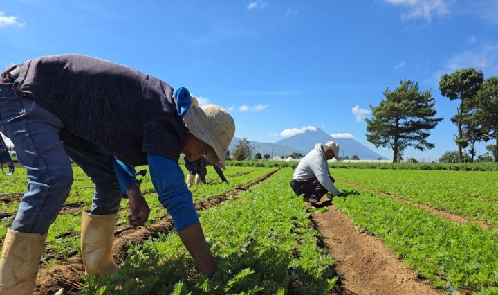 CP_DíadelaAgricultura_Foragro_070926_VF