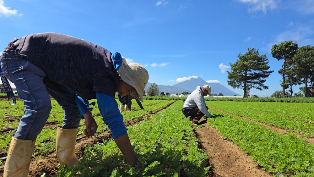 CP_DíadelaAgricultura_Foragro_070926_VF