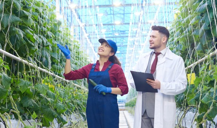 Del campo a las finanzas gestión adecuada de riesgos agropecuarios