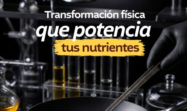 El huevo un ingrediente que da sabor, tradición y nutrición a la gastronomía guatemalteca