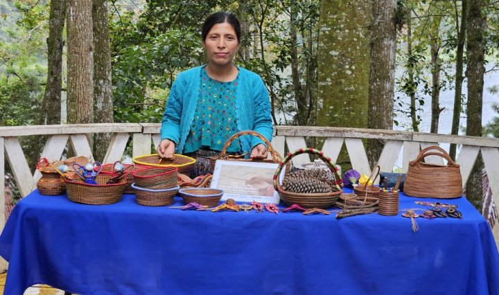 INAB RECONOCE Y PROMUEVE EL LIDERAZGO DE LA MUJER EN EL SECTOR FORESTAL DE GUATEMALA