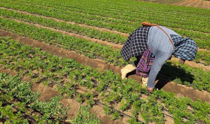 CP_DíadelaMujerRural_Foragro_150926_VF