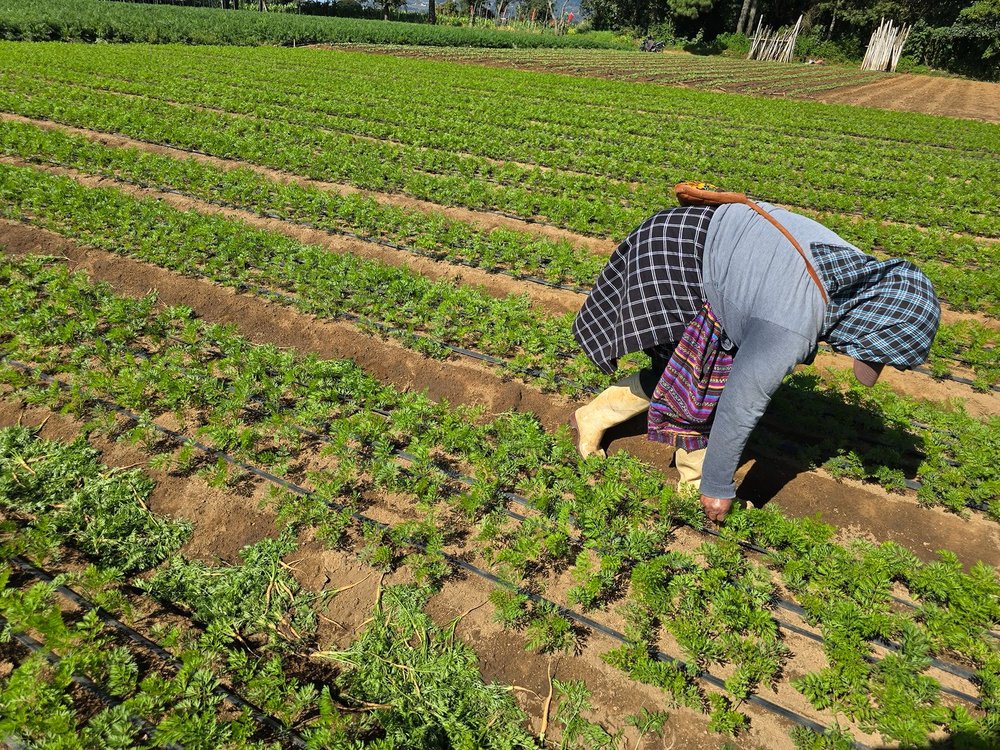 CP_DíadelaMujerRural_Foragro_150926_VF